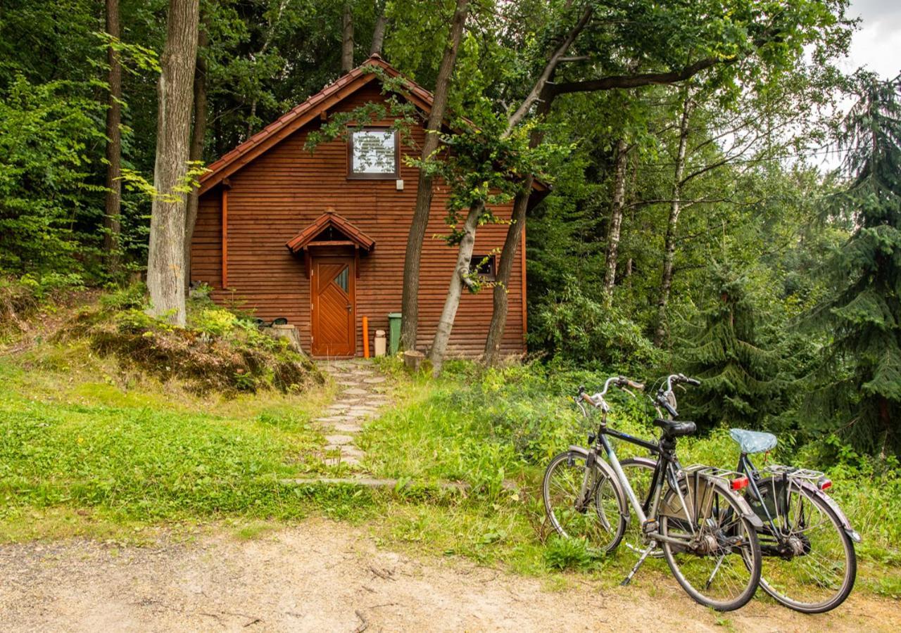 Cezar Naturyzm Bielsko-Biala Exterior foto